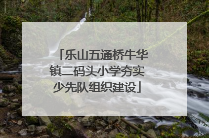 乐山五通桥牛华镇二码头小学夯实少先队组织建设