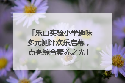 乐山实验小学趣味多元测评欢乐启幕，点亮综合素养之光