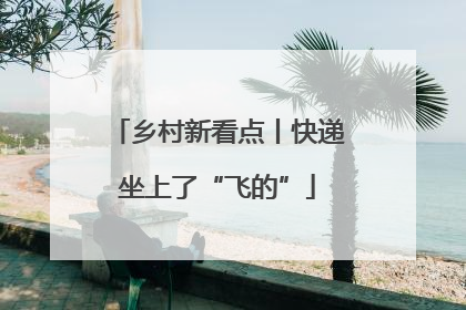 乡村新看点丨快递坐上了“飞的”