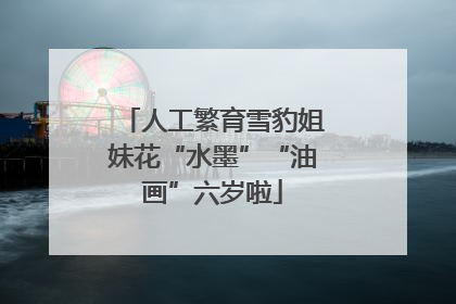 人工繁育雪豹姐妹花“水墨”“油画”六岁啦