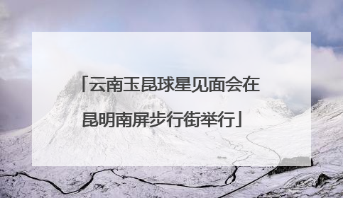 云南玉昆球星见面会在昆明南屏步行街举行