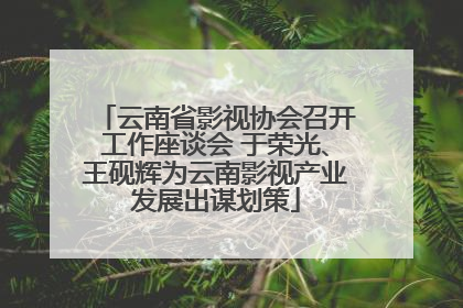云南省影视协会召开工作座谈会 于荣光、王砚辉为云南影视产业发展出谋划策