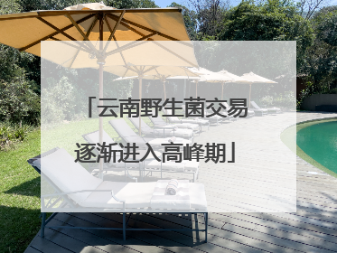 云南野生菌交易逐渐进入高峰期