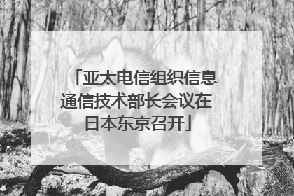 亚太电信组织信息通信技术部长会议在日本东京召开