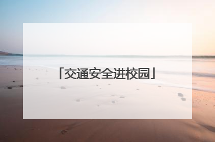 交通安全进校园