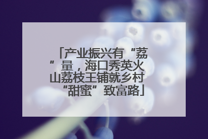 产业振兴有“荔”量，海口秀英火山荔枝王铺就乡村“甜蜜”致富路