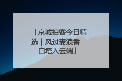 京城拍客今日精选｜风过麦浪香 白塔入云端