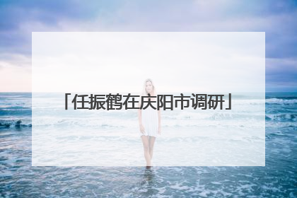 任振鹤在庆阳市调研