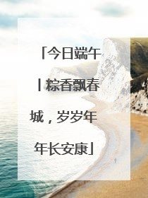 今日端午丨粽香飘春城，岁岁年年长安康