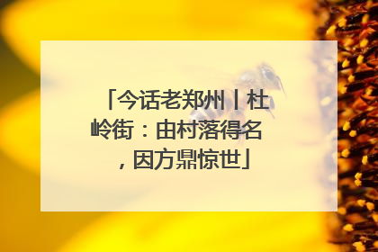 今话老郑州丨杜岭街：由村落得名，因方鼎惊世