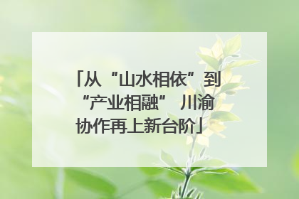 从“山水相依”到“产业相融” 川渝协作再上新台阶