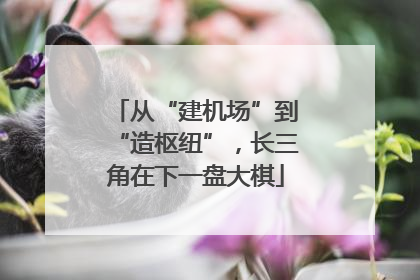 从“建机场”到“造枢纽”，长三角在下一盘大棋