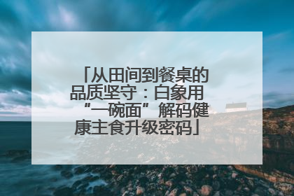 从田间到餐桌的品质坚守：白象用“一碗面”解码健康主食升级密码