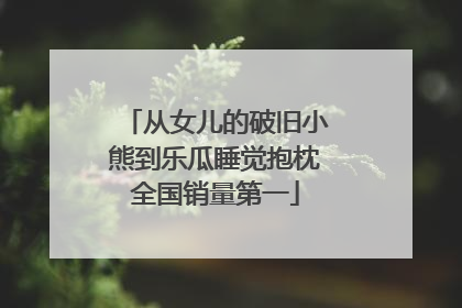 从女儿的破旧小熊到乐瓜睡觉抱枕全国销量第一