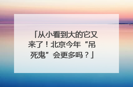 从小看到大的它又来了！北京今年“吊死鬼”会更多吗？
