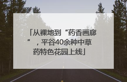 从裸地到“药香画廊”，平谷40余种中草药特色花园上线