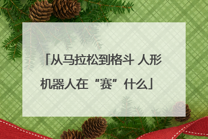 从马拉松到格斗 人形机器人在“赛”什么