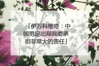 伊万科维奇：中国男足出局我要承担非常大的责任