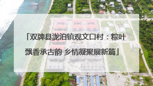 双牌县泷泊镇观文口村：粽叶飘香承古韵 乡情凝聚展新篇