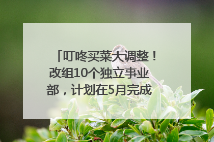 叮咚买菜大调整！改组10个独立事业部，计划在5月完成App端全面改版