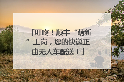 叮咚！顺丰“萌新”上岗，您的快递正由无人车配送！
