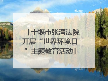 十堰市张湾法院开展“世界环境日”主题教育活动