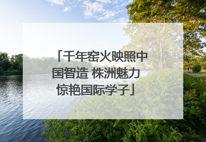 千年窑火映照中国智造 株洲魅力惊艳国际学子