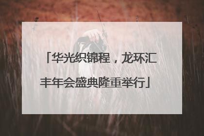 华光织锦程，龙环汇丰年会盛典隆重举行