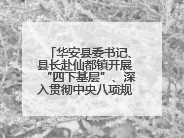 华安县委书记、县长赴仙都镇开展“四下基层”、深入贯彻中央八项规定精神学习教育工作调研