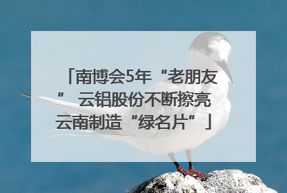 南博会5年“老朋友” 云铝股份不断擦亮云南制造“绿名片”