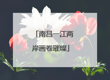 南昌一江两岸画卷璀璨