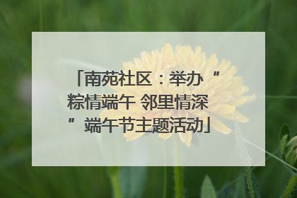 南苑社区：举办“粽情端午 邻里情深”端午节主题活动