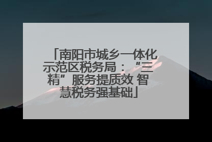 南阳市城乡一体化示范区税务局：“三精”服务提质效 智慧税务强基础