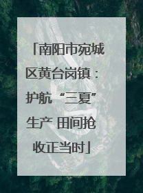 南阳市宛城区黄台岗镇：护航“三夏”生产 田间抢收正当时