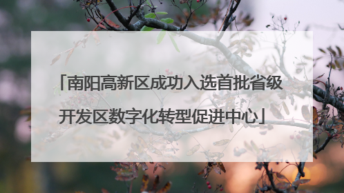 南阳高新区成功入选首批省级开发区数字化转型促进中心