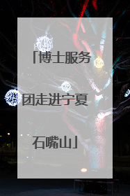 博士服务团走进宁夏石嘴山