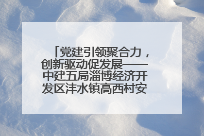 党建引领聚合力，创新驱动促发展——中建五局淄博经济开发区沣水镇高西村安置项目建设纪实