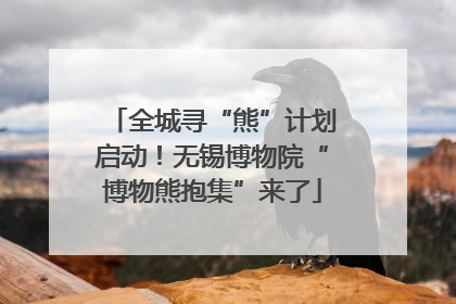 全城寻“熊”计划启动！无锡博物院“博物熊抱集”来了