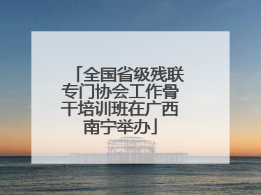 全国省级残联专门协会工作骨干培训班在广西南宁举办
