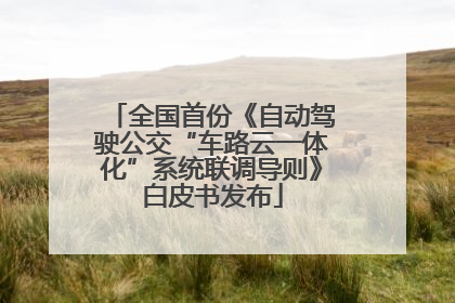 全国首份《自动驾驶公交“车路云一体化”系统联调导则》白皮书发布
