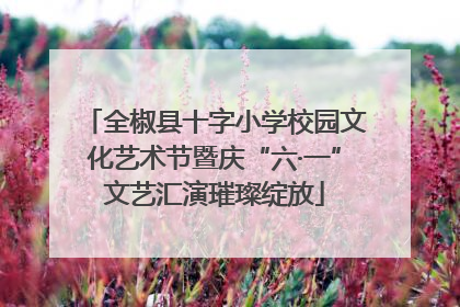 全椒县十字小学校园文化艺术节暨庆“六·一”文艺汇演璀璨绽放