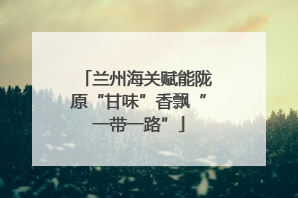 兰州海关赋能陇原“甘味”香飘“一带一路”