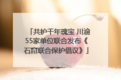 共护千年瑰宝 川渝55家单位联合发布《石窟联合保护倡议》
