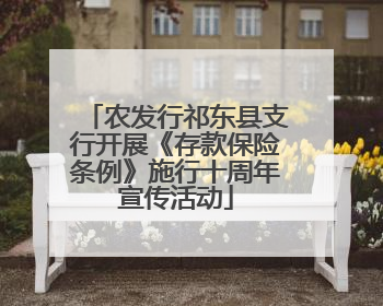 农发行祁东县支行开展《存款保险条例》施行十周年宣传活动