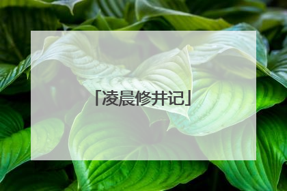凌晨修井记