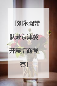 刘永强带队赴京津冀开展招商考察