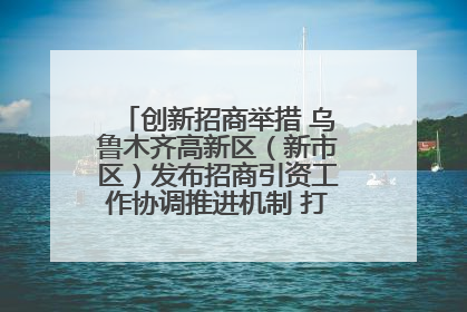 创新招商举措 乌鲁木齐高新区（新市区）发布招商引资工作协调推进机制 打造投资发展新高地