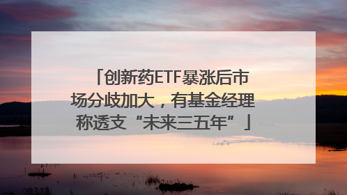 创新药ETF暴涨后市场分歧加大，有基金经理称透支“未来三五年”