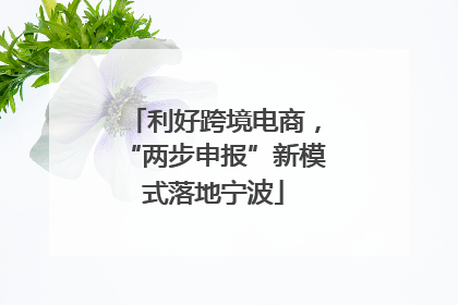 利好跨境电商，“两步申报”新模式落地宁波