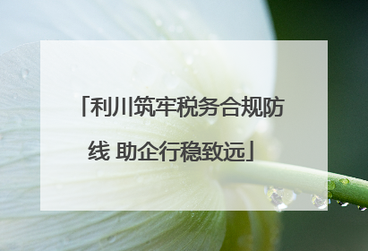 利川筑牢税务合规防线 助企行稳致远